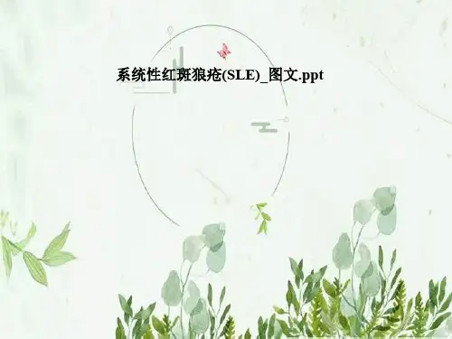 系统性红斑狼疮(SLE)_图文