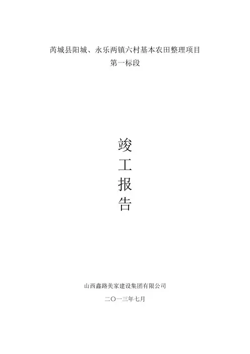 土地整理竣工报告