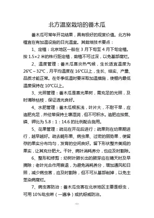 北方温室栽培的番木瓜