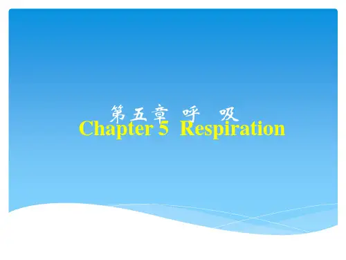 生理学呼吸PPT课件
