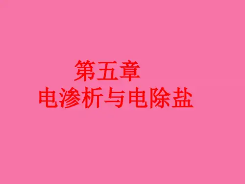 [历史学]第五章 电渗析与电除盐ppt课件