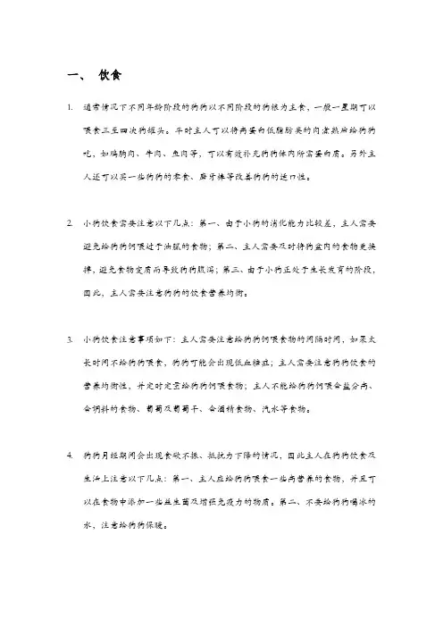 狗狗饮食应该注意的问题