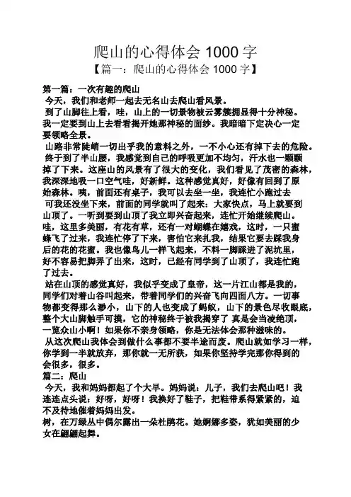 爬山的心得体会1000字