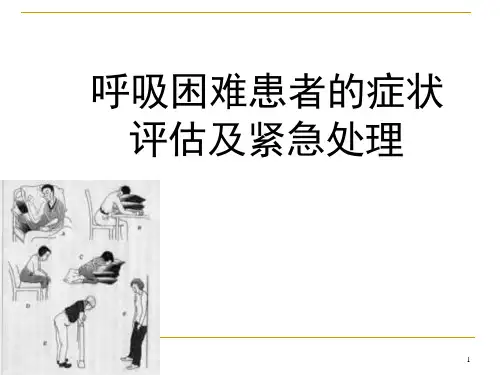 呼吸困难患者的紧急护理医学ppt课件