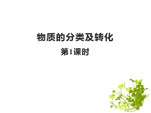 人教版高中化学必修一《物质的分类及转化》物质及其变化PPT精品课件