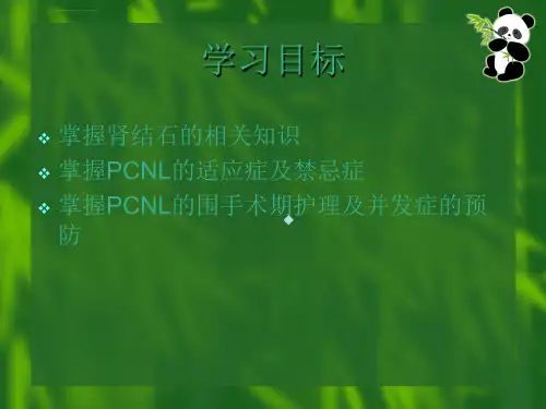 经皮肾镜穿刺取石术PCNL的护理ppt课件