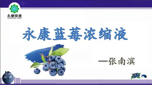 13 永康蓝莓浓缩液-张南滨