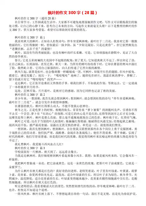 枫叶的作文300字(28篇)