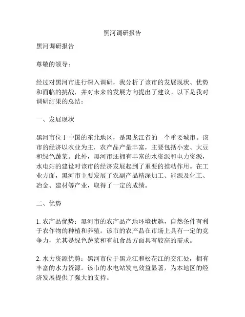 黑河调研报告