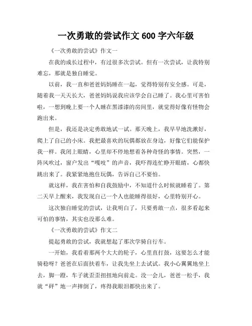一次勇敢的尝试作文600字六年级