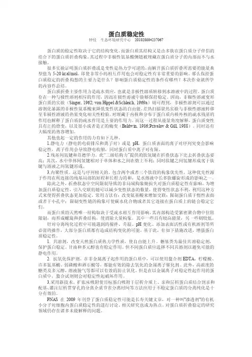 蛋白质稳定性