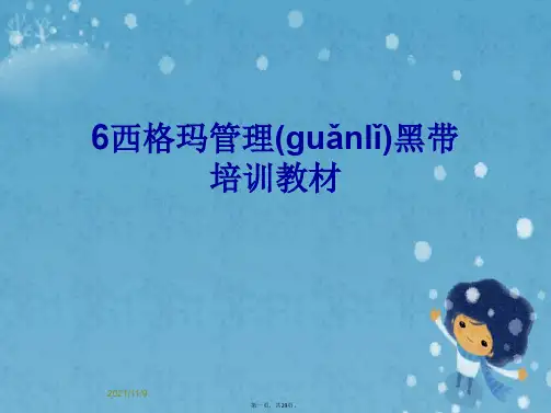 6西格玛管理黑带培训教材