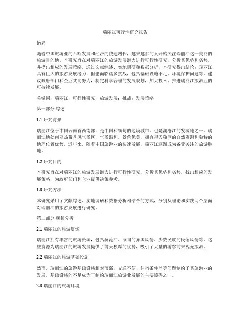 瑞丽江可行性研究报告