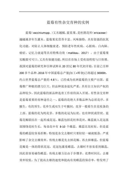 蓝莓有性杂交育种的实例