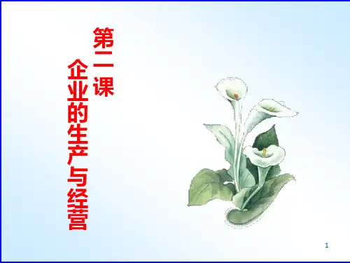 第二课企业的生产与经营PPT课件