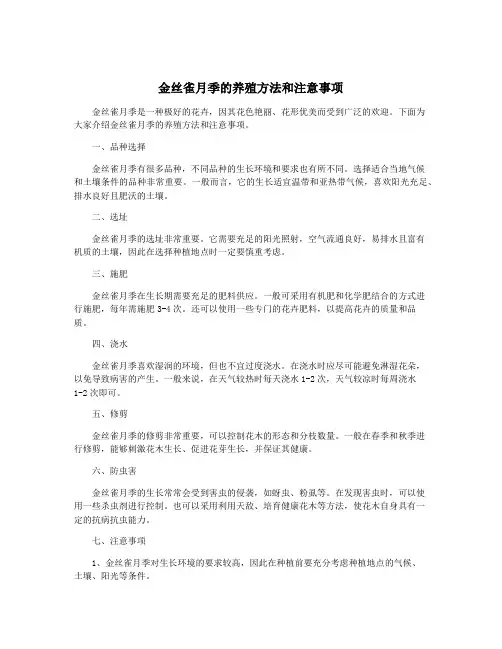 金丝雀月季的养殖方法和注意事项