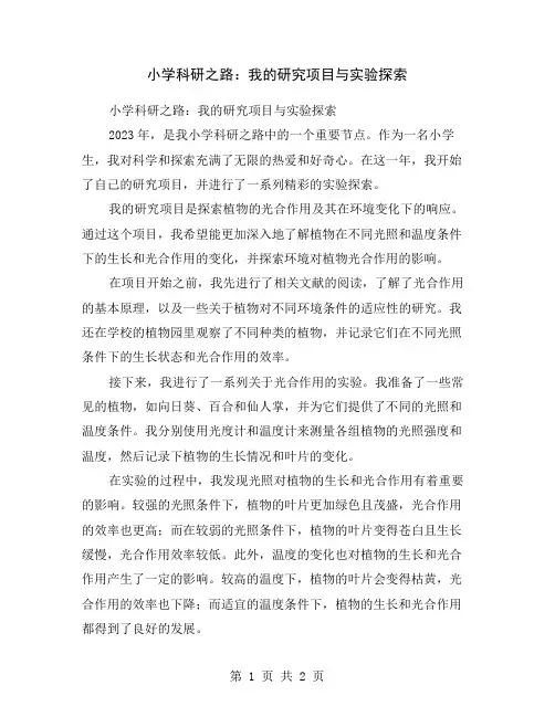 小学科研之路：我的研究项目与实验探索