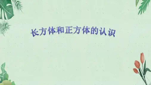 五年级下册数学课件3.1 长方体和正方体的认识 人教版(共32张PPT)【完美版课件】