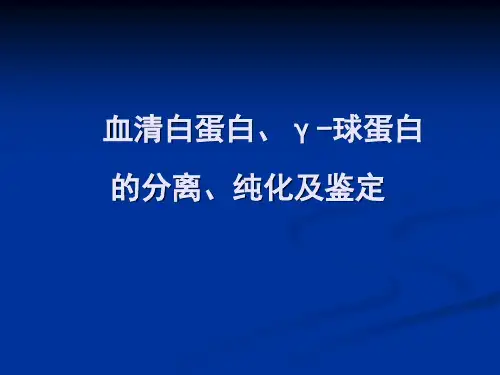 血清蛋白的分离纯化及鉴定