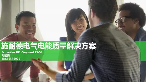 2019施耐德电能质量解决方案