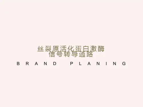 丝裂原活化蛋白激酶