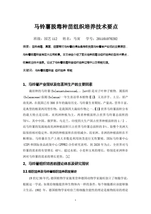 马铃薯组织培养技术要点