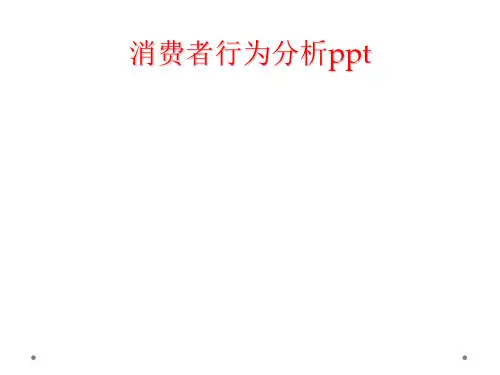 消费者行为分析ppt