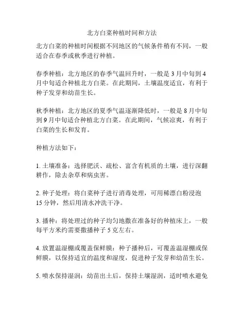北方白菜种植时间和方法