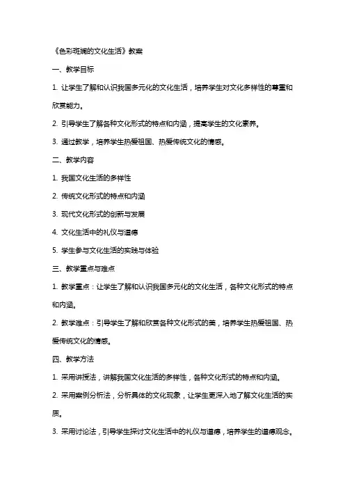 《色彩斑斓的文化生活》教案