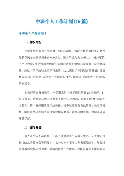中班个人工作计划(15篇)
