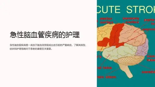 急性脑血管疾病的护理