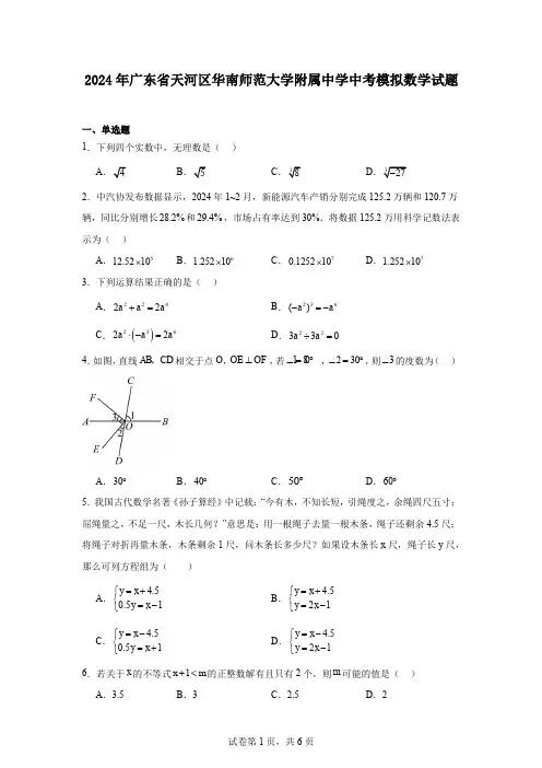 2024年广东省天河区华南师范大学附属中学中考模拟数学试题
