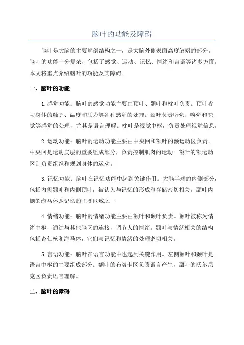 脑叶的功能及障碍