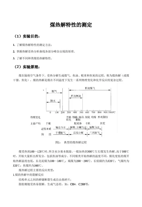 5煤热解特性的测定