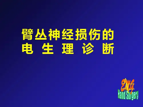 臂丛神经损伤的电生理诊断--