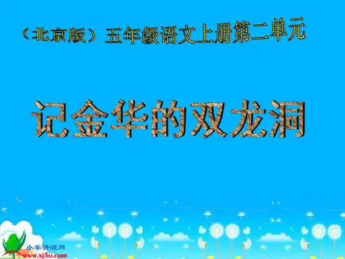 北京版五年级语文上册《记金华的双龙洞 5》PPT课件