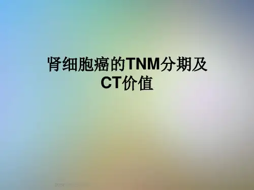 肾细胞癌的TNM分期及CT价值