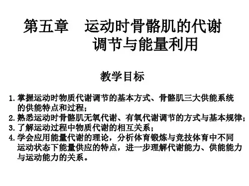 第五章 运动时骨骼肌的代谢调节与能量利用