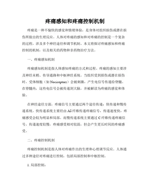 疼痛感知和疼痛控制机制