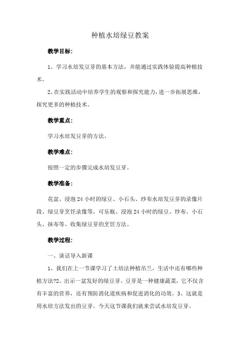 种植水培绿豆教案