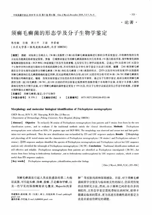 须癣毛癣菌的形态学及分子生物学鉴定