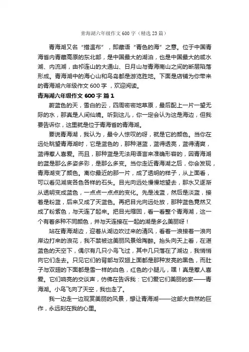青海湖六年级作文600字（精选23篇）