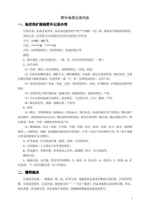 地质记录内容2010.03.02