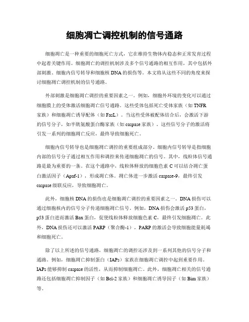 细胞凋亡调控机制的信号通路