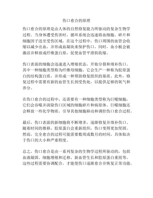 伤口愈合的原理