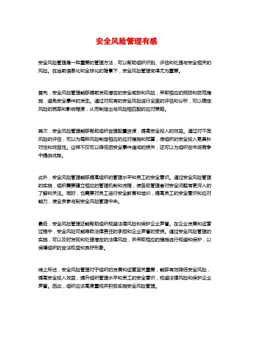 安全风险管理有感