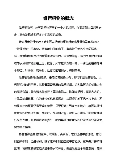 维管植物的概念