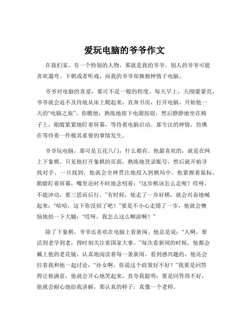 爱玩电脑的爷爷作文