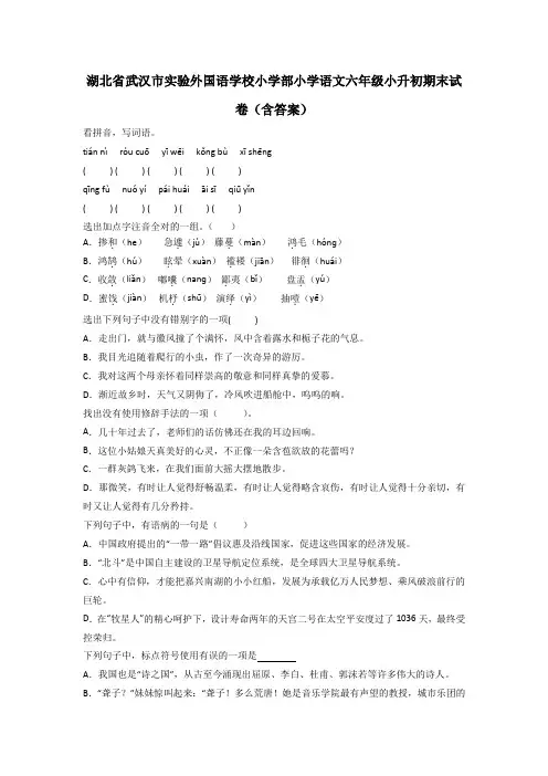 湖北省武汉市实验外国语学校小学部小学语文六年级小升初期末试卷(含答案)