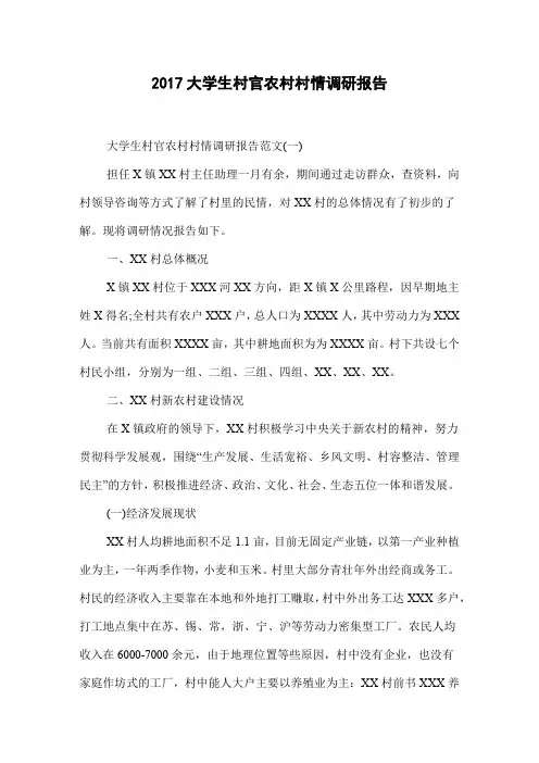 2017大学生村官农村村情调研报告